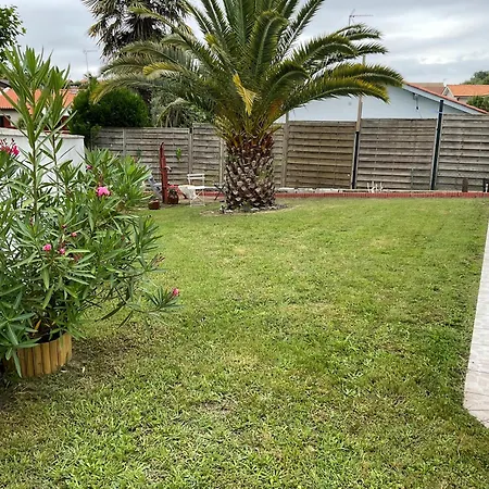 Landaise 10765902